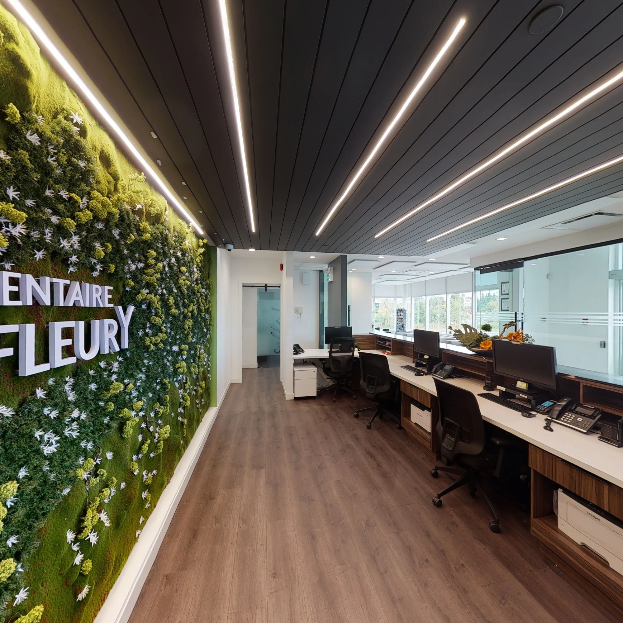 Vue depuis l’intérieur de la réception vers les bureaux et le mur végétal.